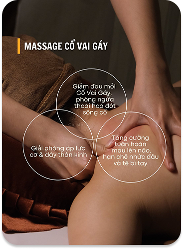 CÁC KHOÁ HỌC TẠI CALISTA slide 1